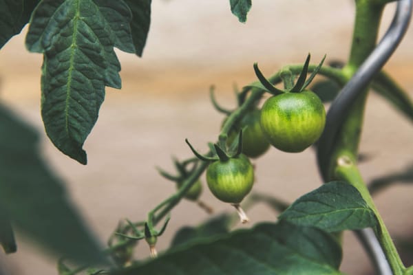 What is a sales enablement maturity model?